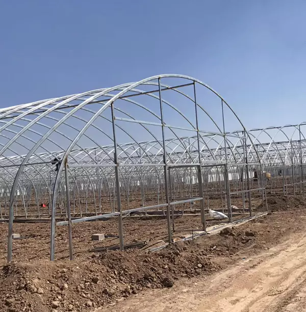 Цевки за стаклена градина